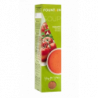 FOUNTAIN SOUPE TOMATE