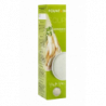 FOUNTAIN VELOUTE ASPERGES