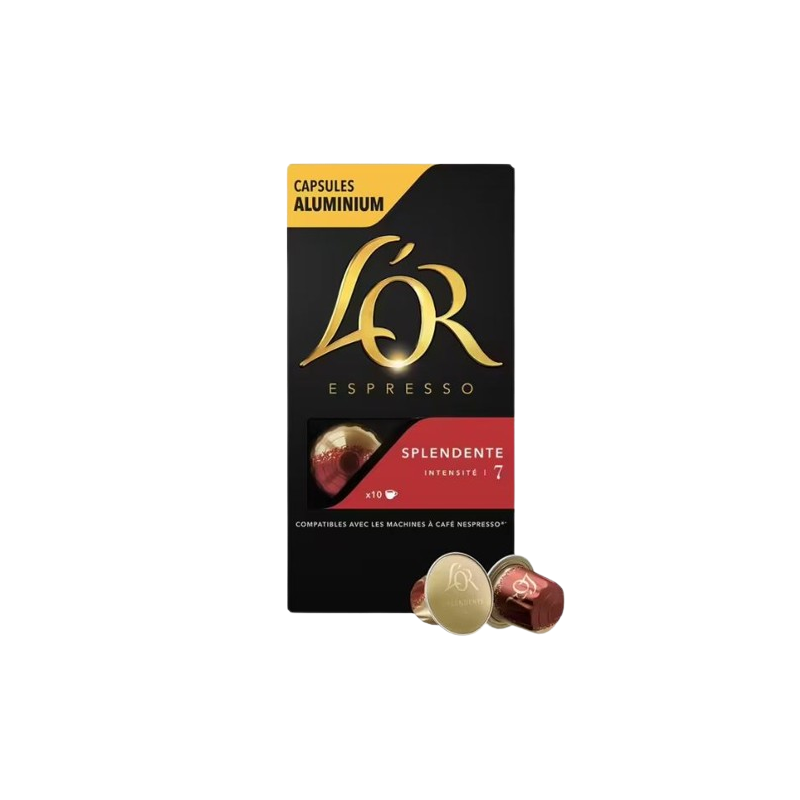 L'OR SPLENDENTE N°7