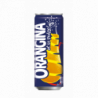 ORANGINA 33 CL 24 CANETTES