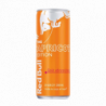 RED BULL ABRICOT 25 CL 24 CANETTES