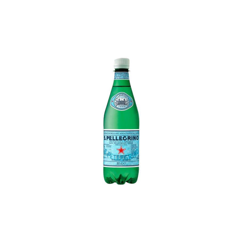 SAN PELLEGRINO PET 50 CL  12 BOUTEILLES