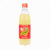 SCHWEPPES AGRUMES PET 50CL 12 BOUTEILLES