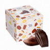 BOITE DISTRIBUTRICE COLIBRI  MADELEINE CHOCOLAT COQUE CHOCO NOIR 30 UNITÉS