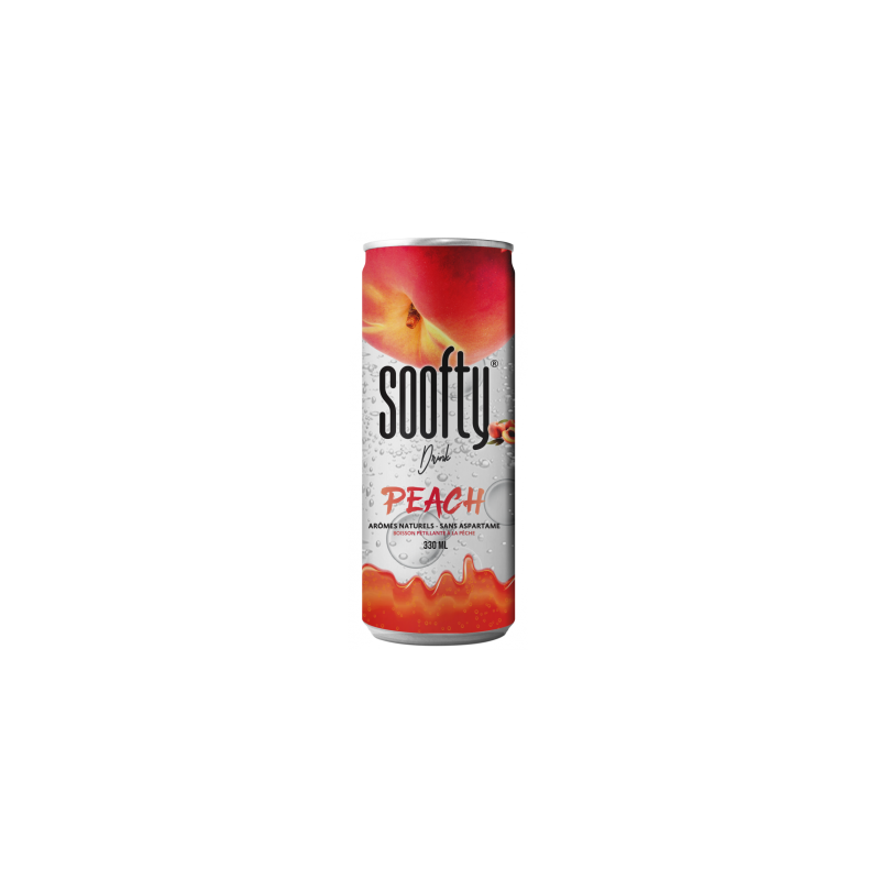 SOOFTY PECHE 33CL 24 CANETTES
