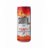 SOOFTY PECHE 33CL 24 CANETTES