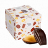 BOITE DISTRIBUTRICE COLIBRI  MADELEINE NATURE COQUE CHOCO NOIR 30 UNITÉS