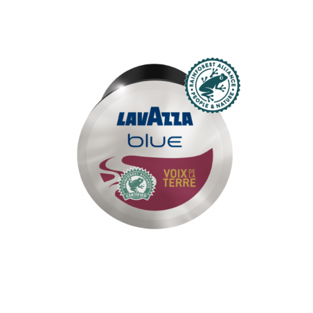 LAVAZZA BLUE CAFÉ VOIX DE LA TERRE - 100 CAPSULES