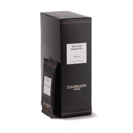 DAMMANN THE NOIR DARJEELING